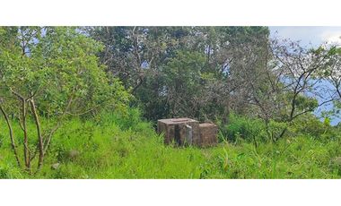 Venta de finca de 4.7 fanegadas en 550 mill en Tena Cund, COL