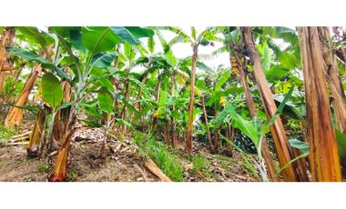 Venta de finca de 4.7 fanegadas en 550 mill en Tena Cund, COL