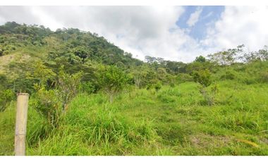 Venta de finca de 4.7 fanegadas en 550 mill en Tena Cund, COL