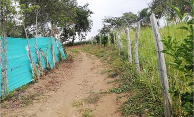Se vende lote de 800 M2 en 145 mill en La Mesa Cund, cerca al  pueblo