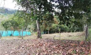 Se vende lote de 800 M2 en 145 mill en La Mesa Cund, cerca al  pueblo