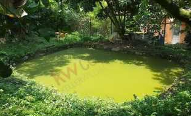 Venta de finca de 2000 M2 en 550 mill en El Colegio Cund.