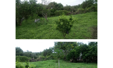 Venta de finca de 2000 M2 en 550 mill en El Colegio Cund.