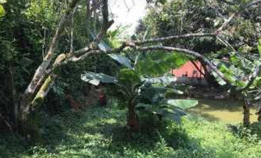 Venta de finca de 2000 M2 en 550 mill en El Colegio Cund.