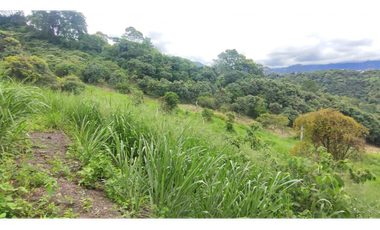 Venta de lote de 2000 M2 en La Gran Via de Tena ,excelente vista