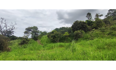 Venta de lote de 2000 M2 en La Gran Via de Tena ,excelente vista