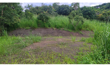 Venta de lote de 2000 M2 en La Gran Via de Tena ,excelente vista