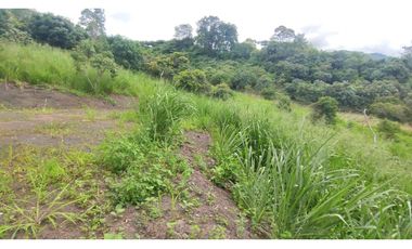 Venta de lote de 2000 M2 en La Gran Via de Tena ,excelente vista