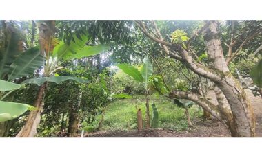 Venta de casalote de 570 M2 en 295 mill en La Mesa Cund