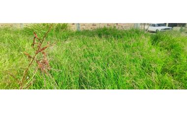 Lote urbano de 260 M2 en 230 mill negociables en La Mesa Cund, permuta