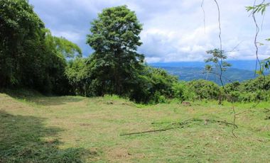 Venta de lote de 4506 M2 en 190 mill en San Joaquín - La Mesa Cund