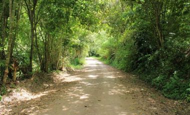 Venta de lote de 4506 M2 en 190 mill en San Joaquín - La Mesa Cund