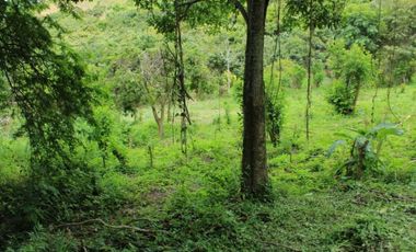 Venta de lote de 4506 M2 en 190 mill en San Joaquín - La Mesa Cund