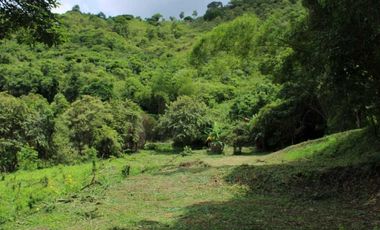 Venta de lote de 4506 M2 en 190 mill en San Joaquín - La Mesa Cund