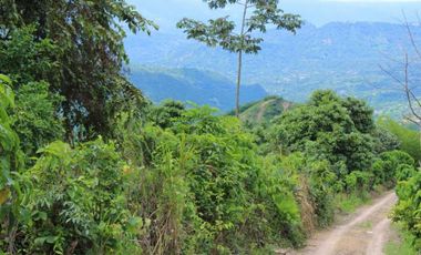 Venta de lote de 4506 M2 en 190 mill en San Joaquín - La Mesa Cund