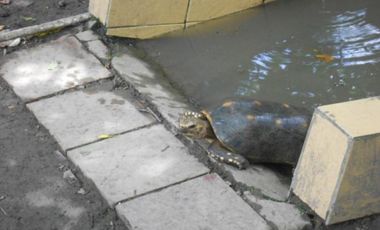 Espectacular Casaquinta de 2100 M2 en 790 mill en #lamesacundinamarca