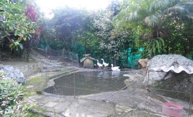 Espectacular Casaquinta de 2100 M2 en 790 mill en #lamesacundinamarca