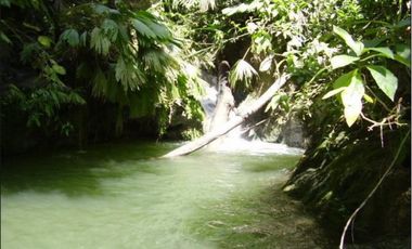 Espectacular Casaquinta de 2100 M2 en 790 mill en #lamesacundinamarca