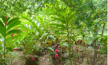 Espectacular Casaquinta de 2100 M2 en 790 mill en #lamesacundinamarca