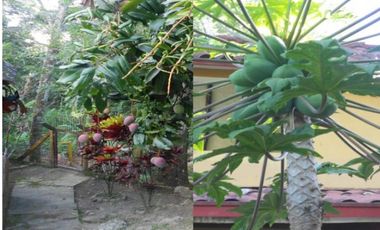 Espectacular Casaquinta de 2100 M2 en 790 mill en #lamesacundinamarca