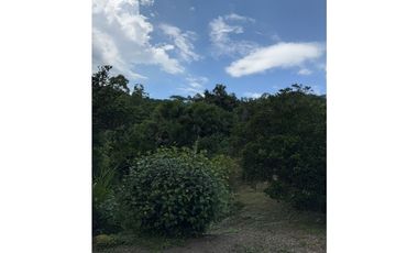 Venta de casalote de 3200 M2 en 330 millones en La Mesa Cund, COL