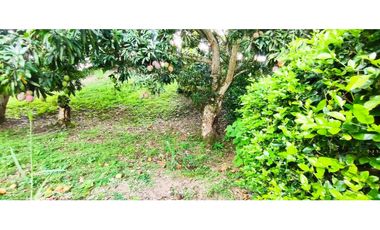 Venta de lote en condominio de 1271 M2 en 189 mill #lamesacundinamarca