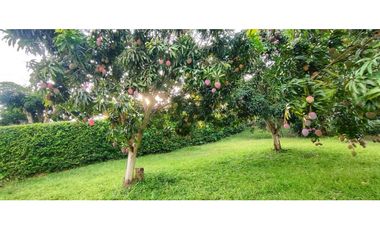 Venta de lote en condominio de 1271 M2 en 189 mill #lamesacundinamarca