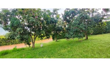 Venta de lote en condominio de 1271 M2 en 189 mill #lamesacundinamarca