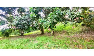 Venta de lote en condominio de 1271 M2 en 189 mill #lamesacundinamarca