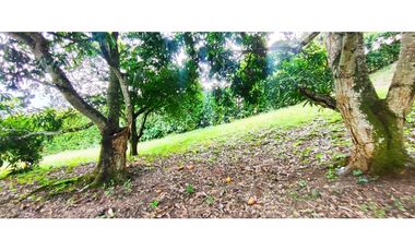 Venta de lote en condominio de 1271 M2 en 189 mill #lamesacundinamarca