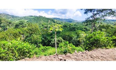 Terreno de 1 HECTREA o 10 mil M2 en 260 mill en La Mesa Cund