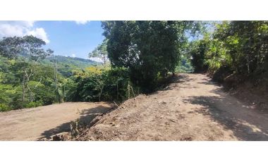 Terreno de 1 HECTREA o 10 mil M2 en 260 mill en La Mesa Cund