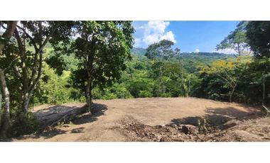 Terreno de 1 HECTREA o 10 mil M2 en 260 mill en La Mesa Cund