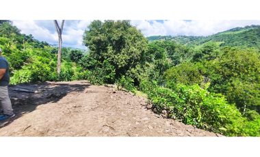 Terreno de 1 HECTREA o 10 mil M2 en 260 mill en La Mesa Cund