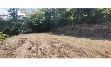 Terreno de 1 HECTREA o 10 mil M2 en 260 mill en La Mesa Cund