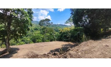 Terreno de 1 HECTREA o 10 mil M2 en 260 mill en La Mesa Cund