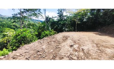 Terreno de 1 HECTREA o 10 mil M2 en 260 mill en La Mesa Cund