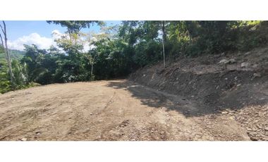 Terreno de 1 HECTREA o 10 mil M2 en 260 mill en La Mesa Cund
