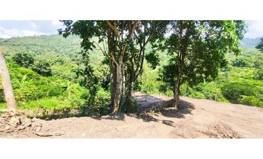 Terreno de 1 HECTREA o 10 mil M2 en 260 mill en La Mesa Cund