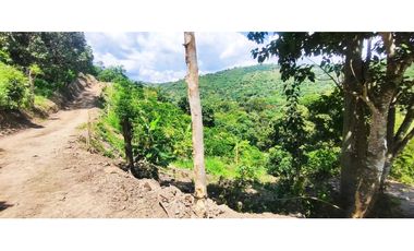 Terreno de 1 HECTREA o 10 mil M2 en 260 mill en La Mesa Cund