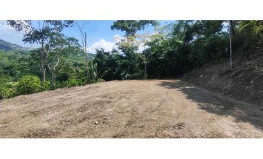 Terreno de 1 HECTREA o 10 mil M2 en 260 mill en La Mesa Cund
