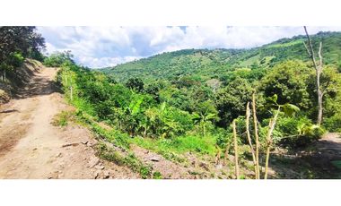 Terreno de 1 HECTREA o 10 mil M2 en 260 mill en La Mesa Cund