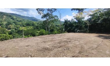 Terreno de 1 HECTREA o 10 mil M2 en 260 mill en La Mesa Cund