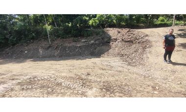 Terreno de 1 HECTREA o 10 mil M2 en 260 mill en La Mesa Cund