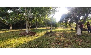 Se vende lote semiurbano de 3200 M2 en 400 mill neg, en La Mesa Cund