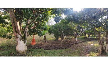 Se vende lote semiurbano de 3200 M2 en 400 mill neg, en La Mesa Cund