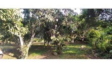 Se vende lote semiurbano de 3200 M2 en 400 mill neg, en La Mesa Cund