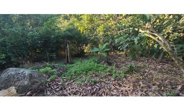 Se vende lote semiurbano de 3200 M2 en 400 mill neg, en La Mesa Cund