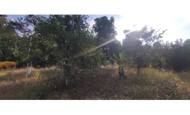 Se vende lote semiurbano de 3200 M2 en 400 mill neg, en La Mesa Cund