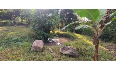 Se vende lote semiurbano de 3200 M2 en 400 mill neg, en La Mesa Cund